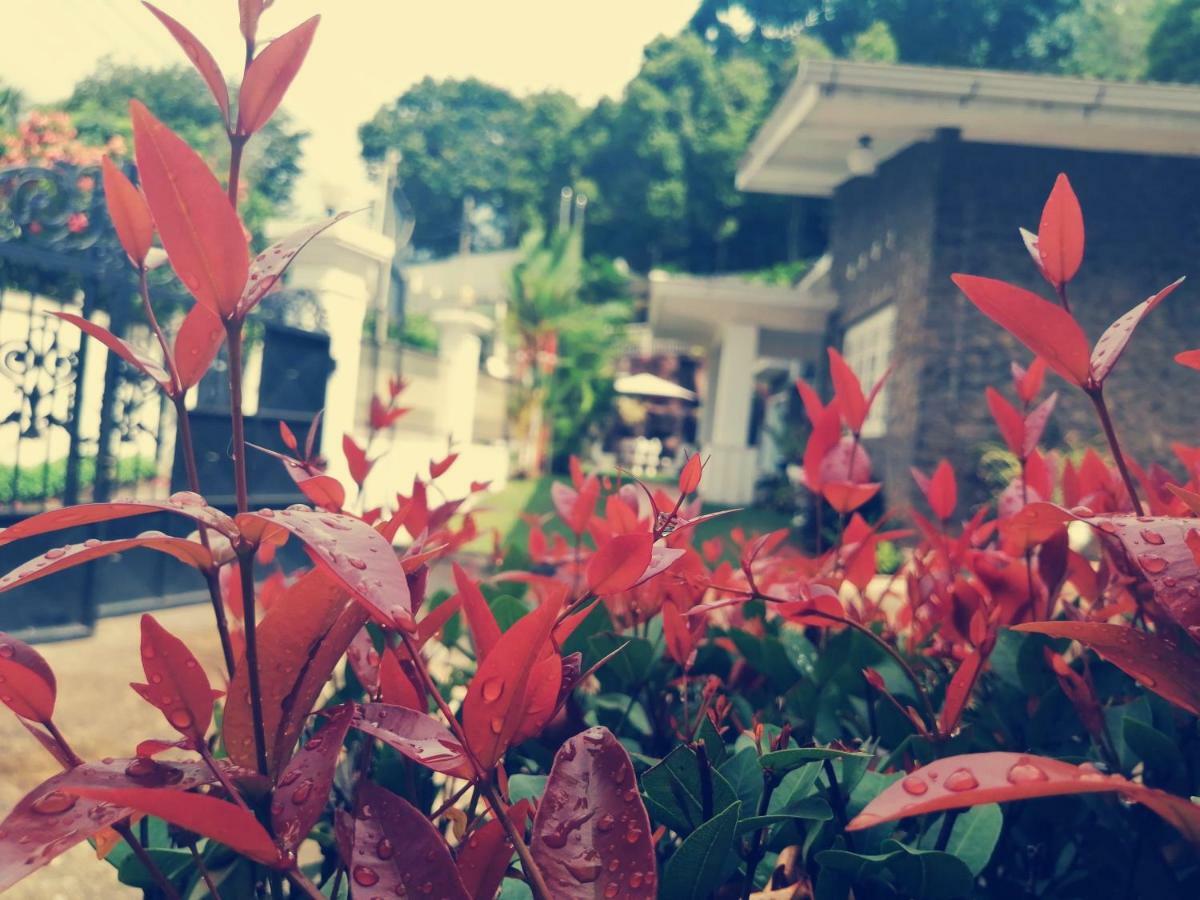 Anna Shanthi Villa Kandy Exterior photo