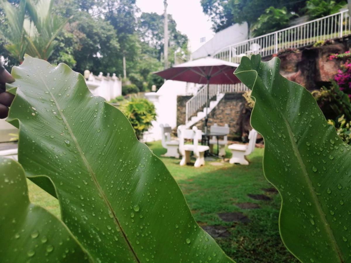 Anna Shanthi Villa Kandy Exterior photo
