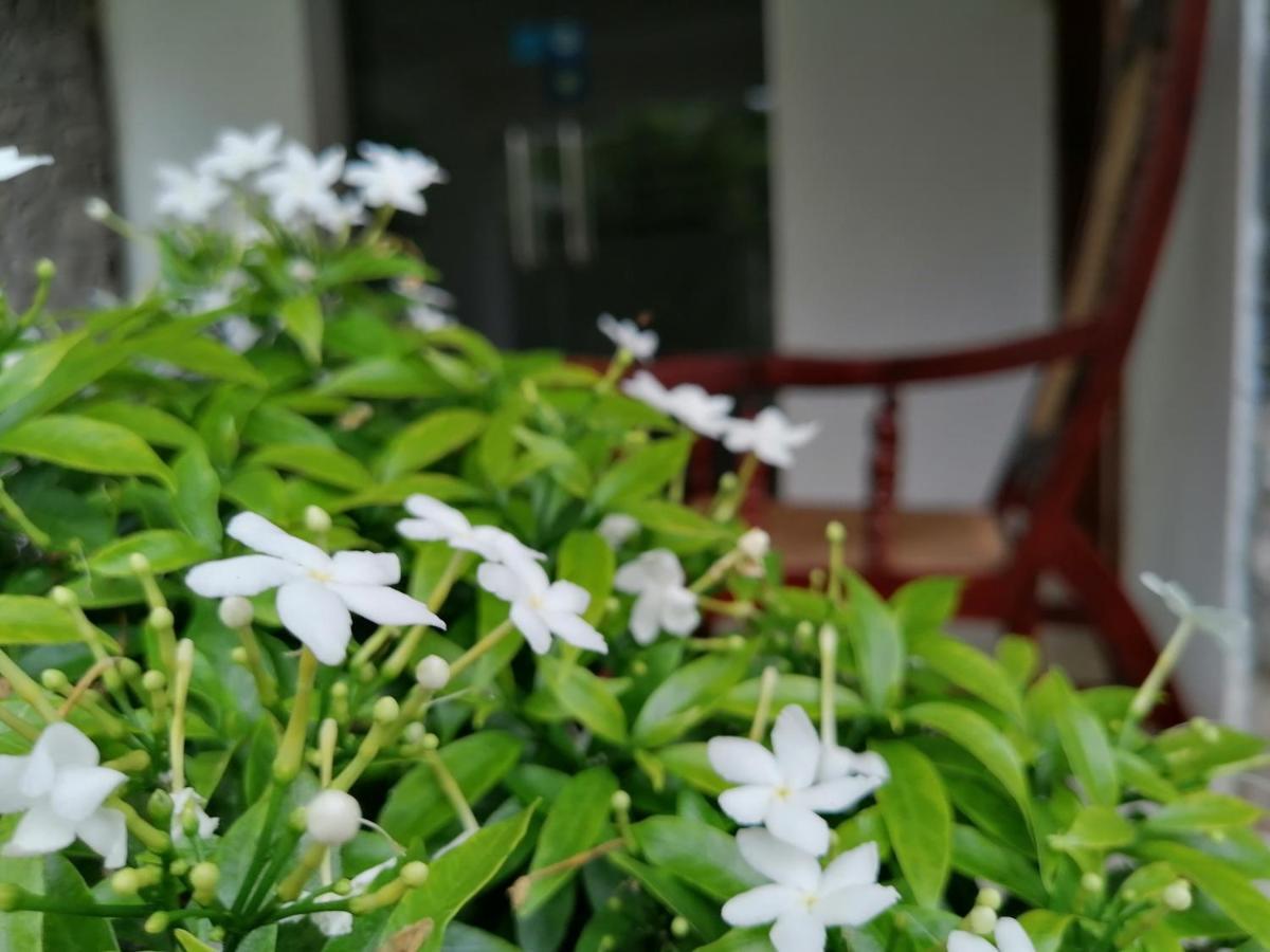 Anna Shanthi Villa Kandy Exterior photo